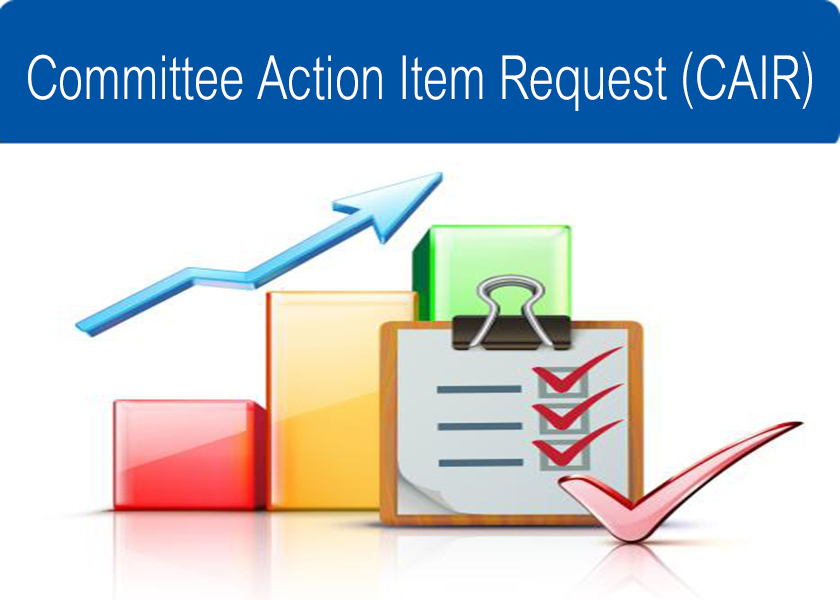Committee Action Item Request