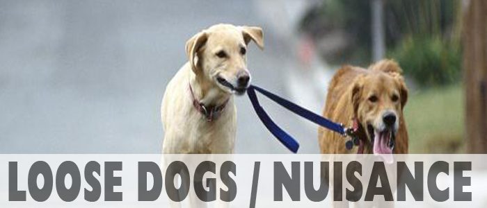 Loos Dogs/Nuisance Banner: Displaying two dogs running