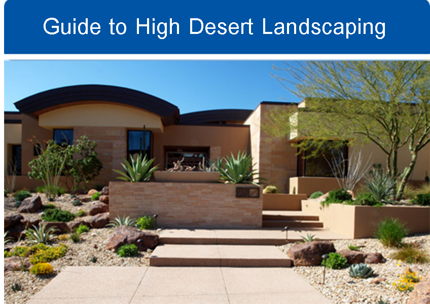 Guide to High Desert Landscaping