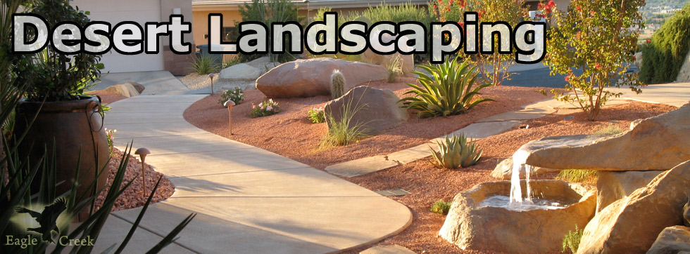 image of desert landscaping: dirt, rocks, cacti, walkway, trees