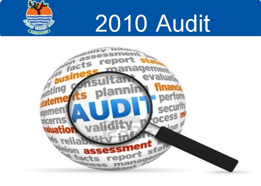 2010 Audit