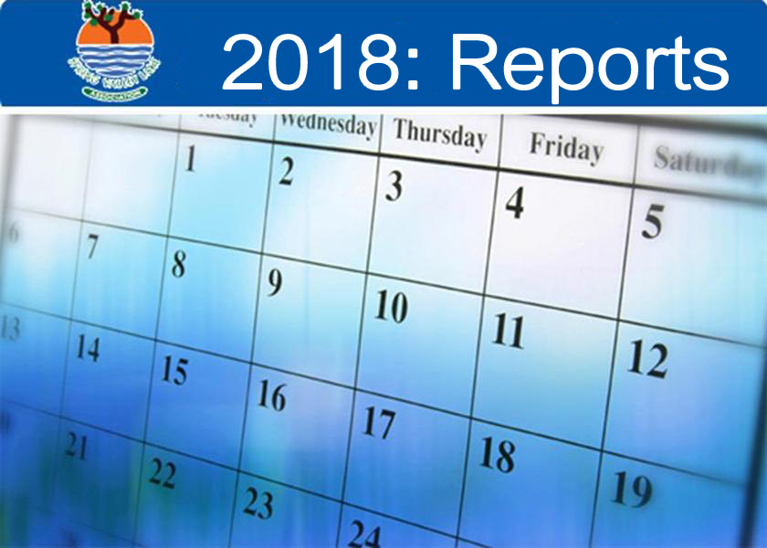 2018: Reports