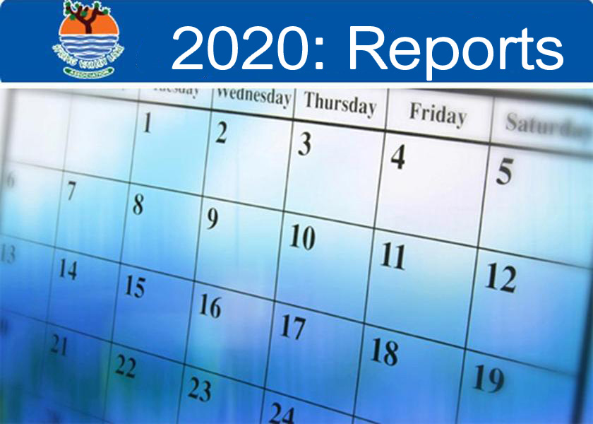 2020: Reports