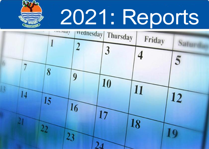 2021: Reports