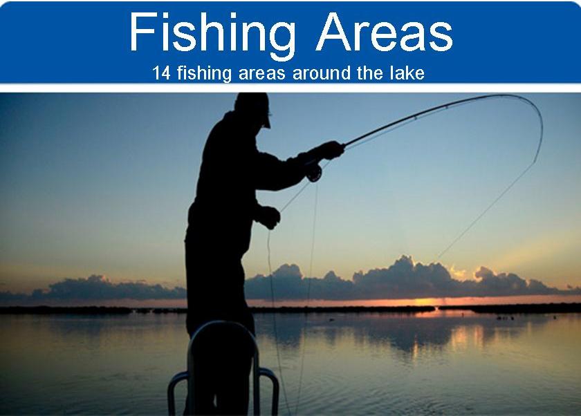 Fishing Areas 