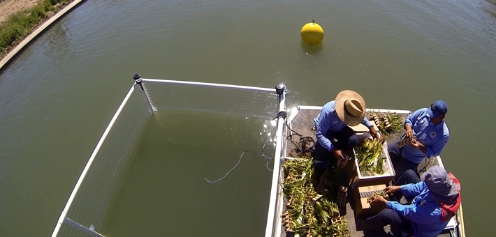 Maintenance/Operations11