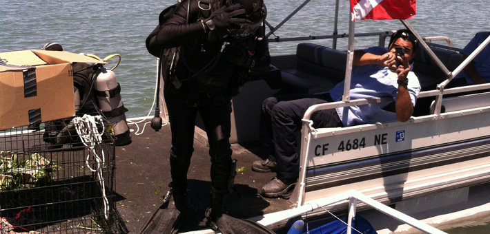 Maintenance/Operations5